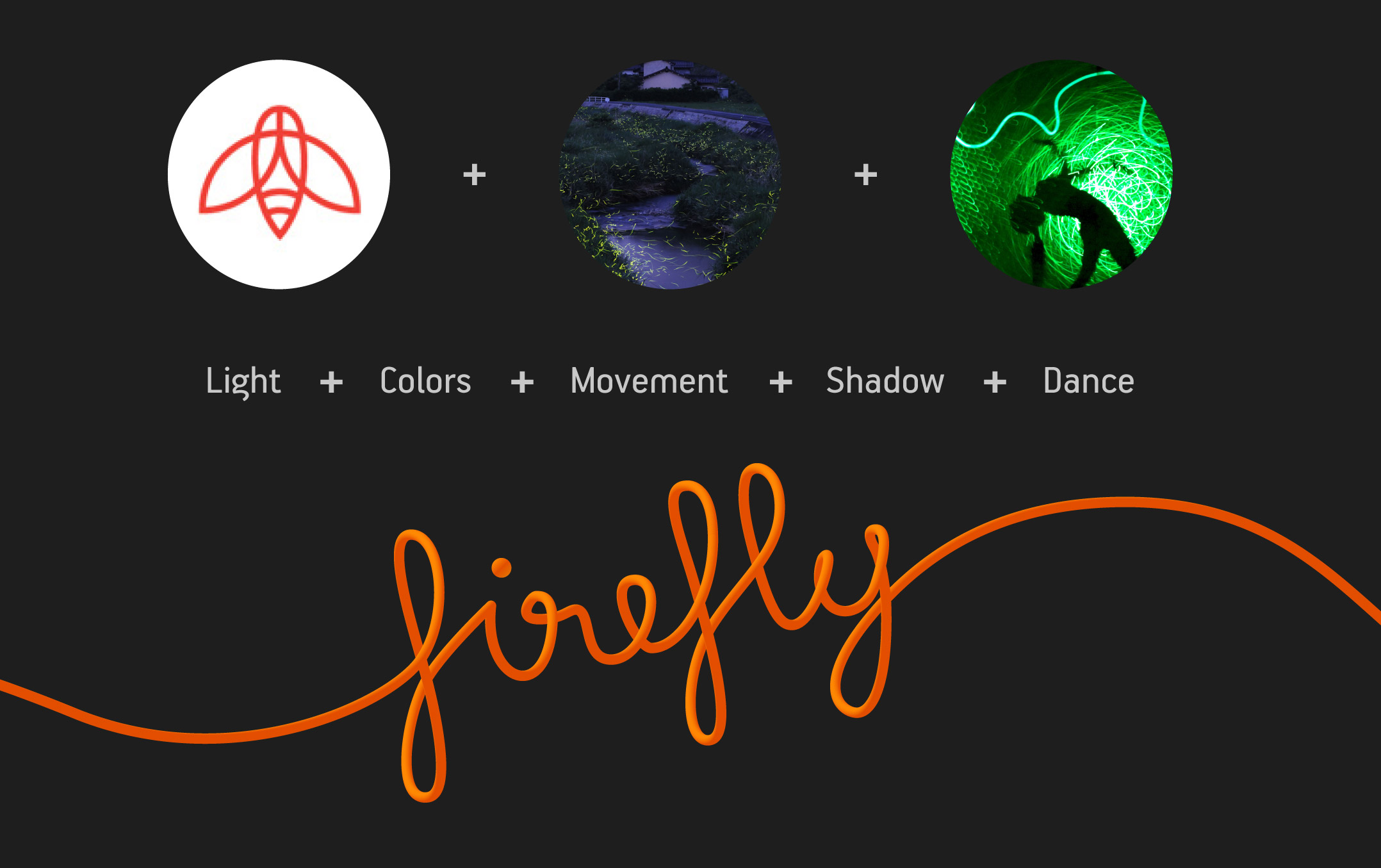logo evolution firefly process